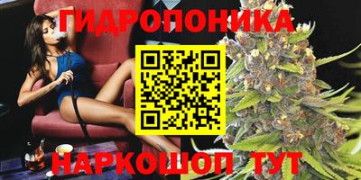 прущие грибы Малгобек