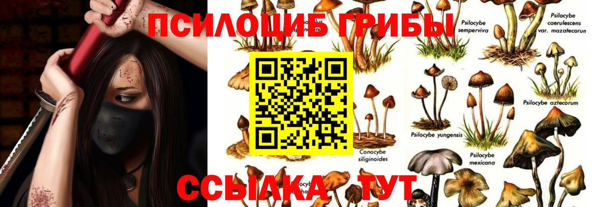 Шахты  Галлюциногенные грибы Magic Shrooms  Галлюциногенные грибы мицелий  Вход с VPN 