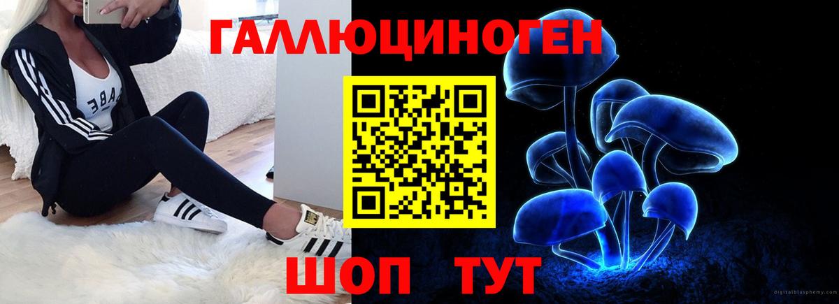 Галлюциногенные грибы Psilocybe Шахты